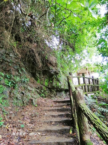 IMG_20190727_105251.jpg IMG_20190727_105251.jpg