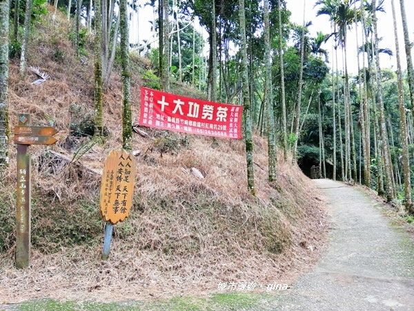 IMG_20190727_112022.jpg IMG_20190727_112022.jpg