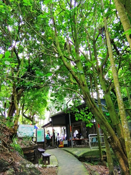 IMG_20190727_112305.jpg IMG_20190727_112305.jpg