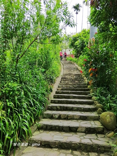 IMG_20190727_114257.jpg IMG_20190727_114257.jpg