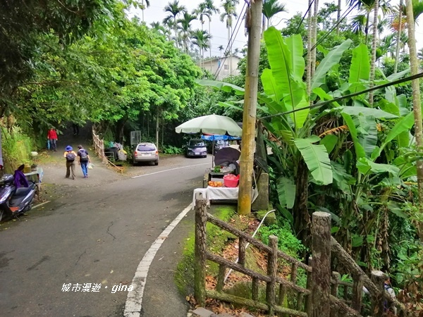 IMG_20190727_120305.jpg IMG_20190727_120305.jpg