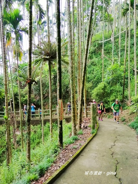 IMG_20190727_120306.jpg IMG_20190727_120306.jpg