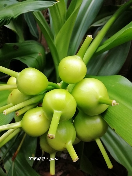 IMG_20190727_120307.jpg IMG_20190727_120307.jpg