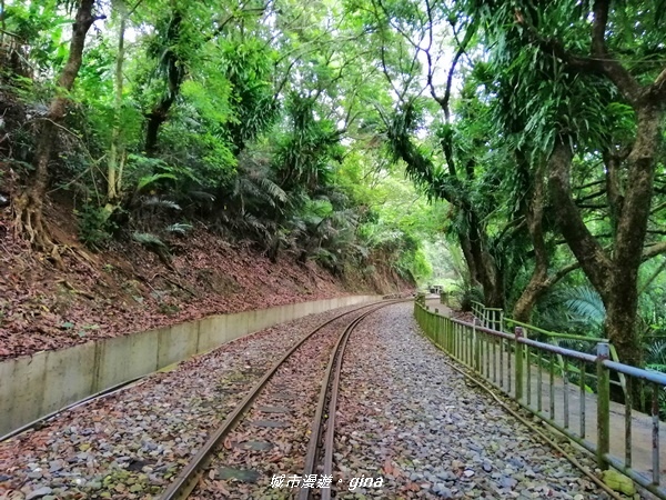 IMG_20190727_121059.jpg IMG_20190727_121059.jpg