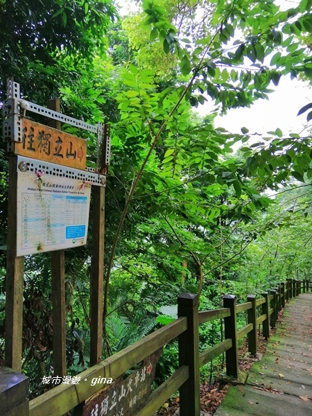 IMG_20190727_122848.jpg IMG_20190727_122848.jpg