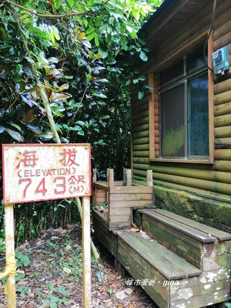 IMG_20190727_124145.jpg IMG_20190727_124145.jpg