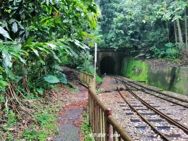 IMG_20190727_125656.jpg IMG_20190727_125656.jpg