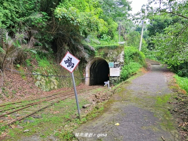 IMG_20190727_124416.jpg IMG_20190727_124416.jpg