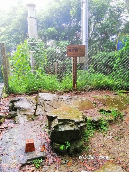 IMG_20190727_133045.jpg IMG_20190727_133045.jpg