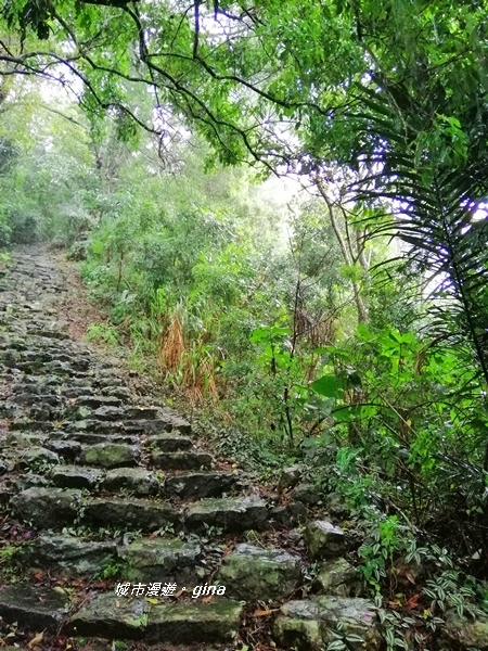 IMG_20190727_135100.jpg IMG_20190727_135100.jpg