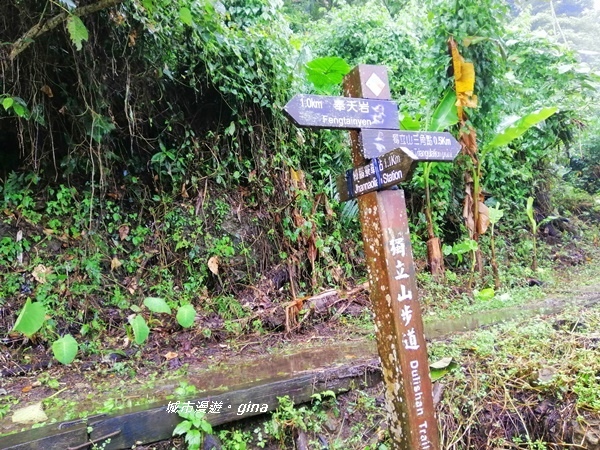 IMG_20190727_140009.jpg IMG_20190727_140009.jpg