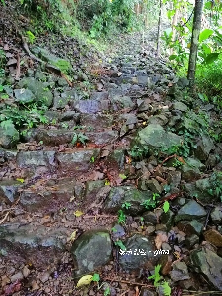 IMG_20190727_135735.jpg IMG_20190727_135735.jpg