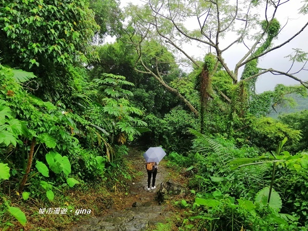 IMG_20190727_140040.jpg IMG_20190727_140040.jpg