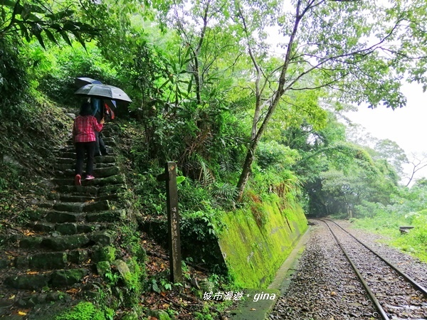 IMG_20190727_140301.jpg IMG_20190727_140301.jpg