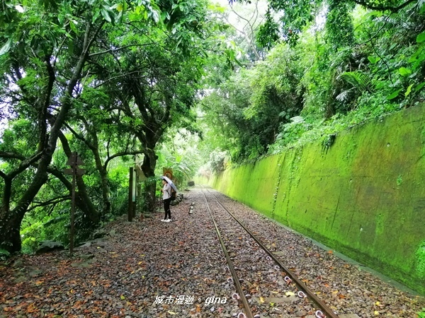 IMG_20190727_140314.jpg IMG_20190727_140314.jpg