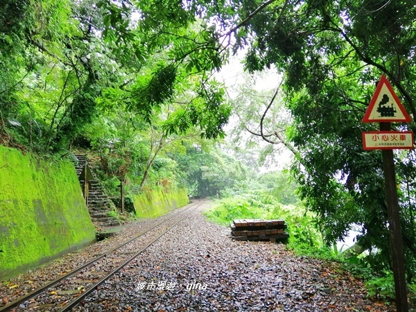 IMG_20190727_140350.jpg IMG_20190727_140350.jpg