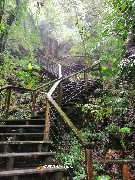 IMG_20190727_142839.jpg IMG_20190727_142839.jpg