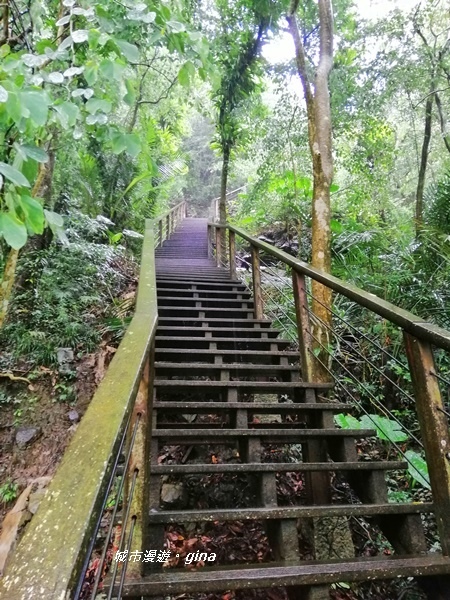 IMG_20190727_142555.jpg IMG_20190727_142555.jpg