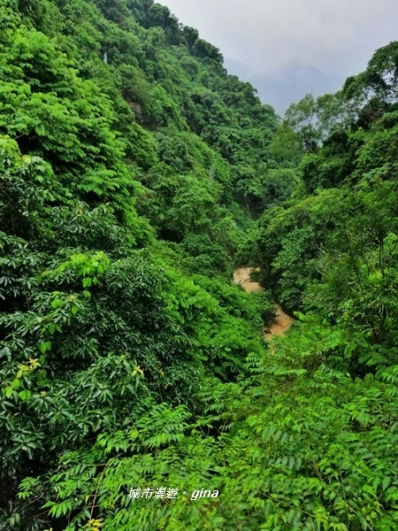 IMG_20190727_143037.jpg IMG_20190727_143037.jpg