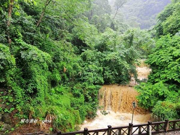 IMG_20190727_143047.jpg IMG_20190727_143047.jpg