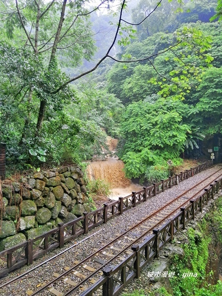 IMG_20190727_143107.jpg IMG_20190727_143107.jpg