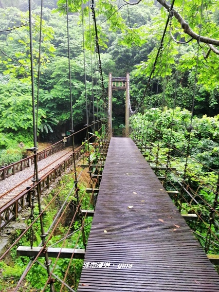 IMG_20190727_143111.jpg IMG_20190727_143111.jpg