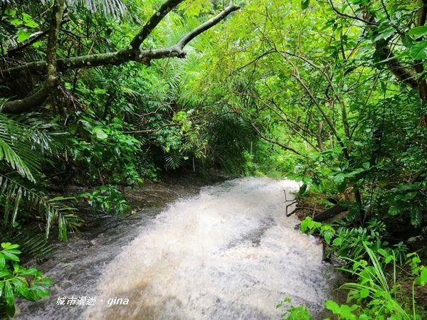 IMG_20190727_143505.jpg IMG_20190727_143505.jpg