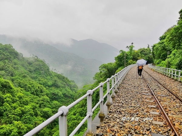 IMG_20190727_143631.jpg IMG_20190727_143631.jpg