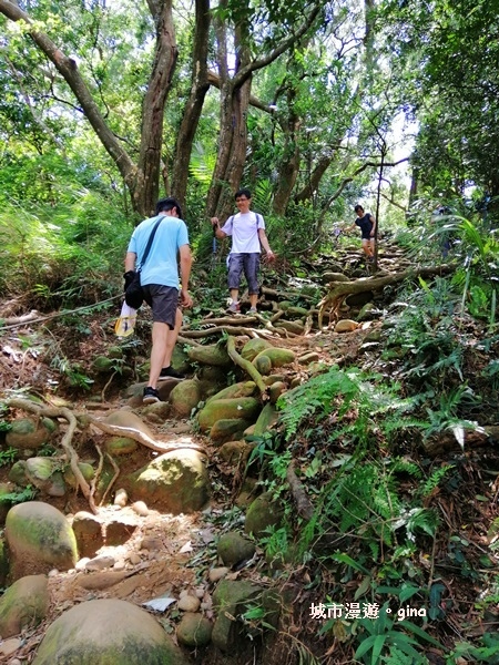 【新竹芎林】新竹縣八景之一。 No27小百岳中坑山462Mx