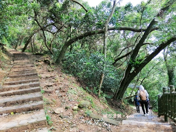 【新竹芎林】新竹縣八景之一。 No27小百岳中坑山462Mx