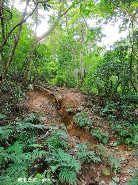 IMG_20190811_155041.jpg IMG_20190811_155041.jpg