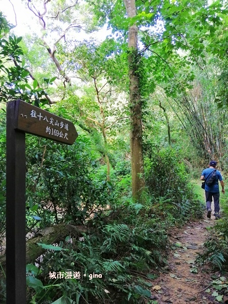 IMG_20190811_155057.jpg IMG_20190811_155057.jpg