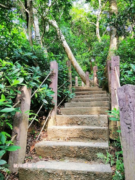 IMG_20190811_155142.jpg IMG_20190811_155142.jpg