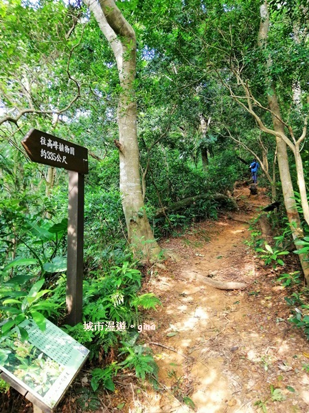 【新竹東區】很特別的三角點。 No26小百岳十八尖山 130