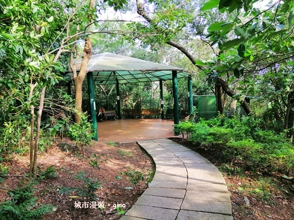 IMG_20190811_155958.jpg IMG_20190811_155958.jpg