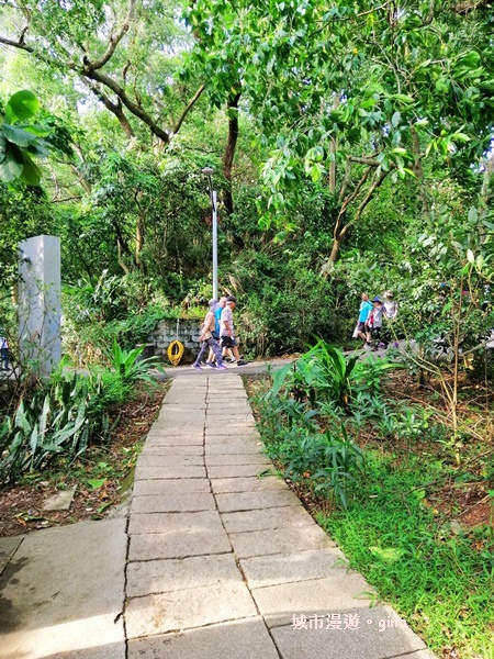 IMG_20190811_160002.jpg IMG_20190811_160002.jpg