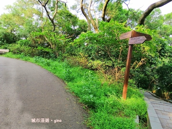 IMG_20190811_160251.jpg IMG_20190811_160251.jpg