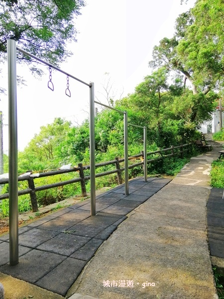 IMG_20190811_160624.jpg IMG_20190811_160624.jpg