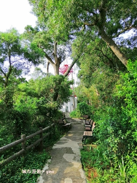 IMG_20190811_160639.jpg IMG_20190811_160639.jpg