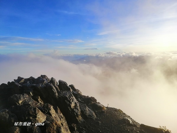 【嘉義。阿里山鄉】站上台灣之巔不只是感動而已。No1台灣百岳