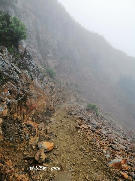 【嘉義。阿里山鄉】站上台灣之巔不只是感動而已。No1台灣百岳