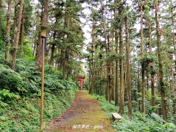 【苗栗頭屋】悠悠古道森林浴。 鳴鳳山遊憩區