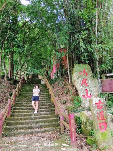 【苗栗頭屋】悠悠古道森林浴。 鳴鳳山遊憩區