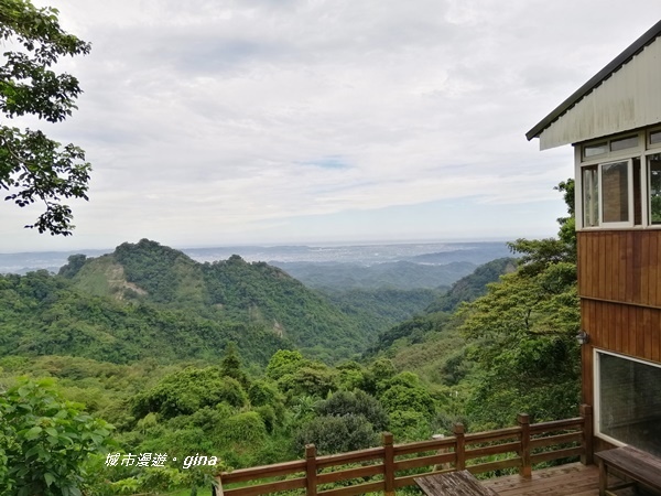 IMG_20190824_103227.jpg IMG_20190824_103227.jpg