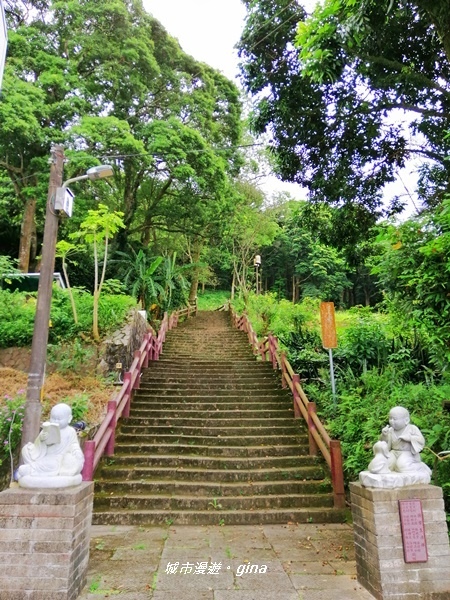 【苗栗頭屋】悠悠古道森林浴。 鳴鳳山遊憩區