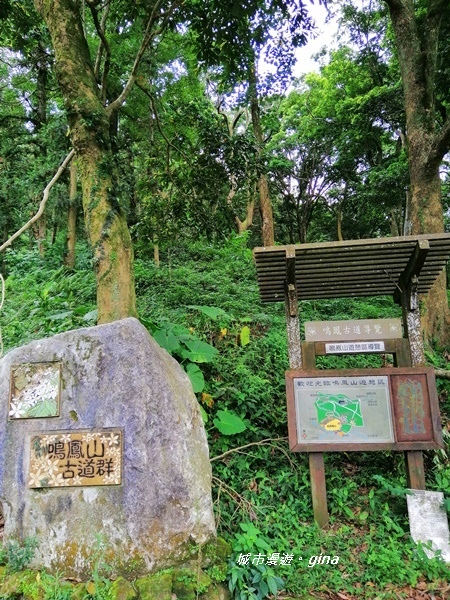 IMG_20190824_104634.jpg IMG_20190824_104634.jpg