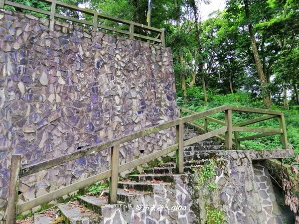 IMG_20190824_104908.jpg IMG_20190824_104908.jpg