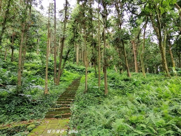 IMG_20190824_105102.jpg IMG_20190824_105102.jpg