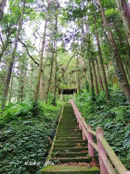 IMG_20190824_105702.jpg IMG_20190824_105702.jpg