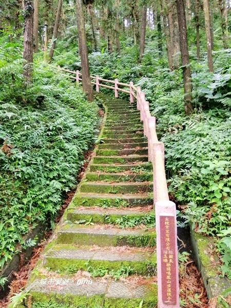 IMG_20190824_105952.jpg IMG_20190824_105952.jpg